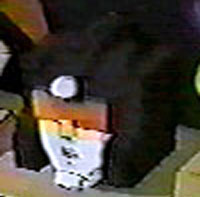 Image courtesy of Seibertron.com